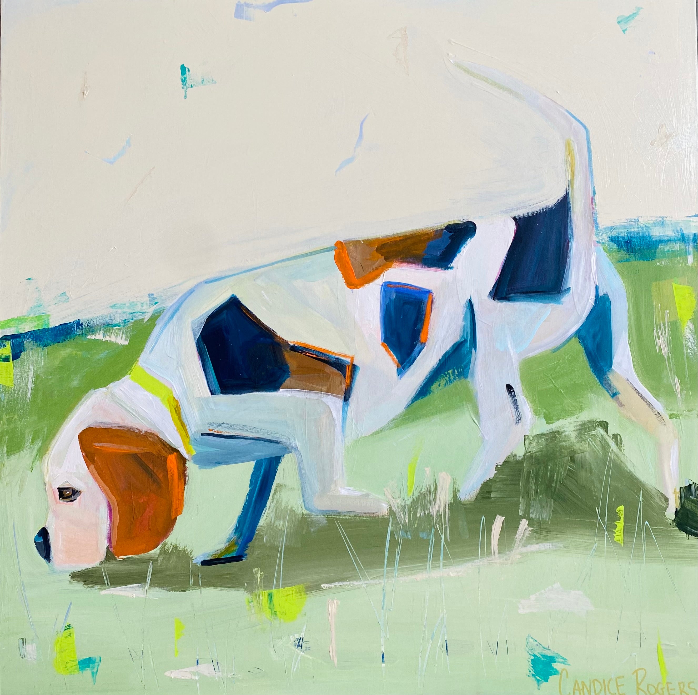 Beagle on the hunt