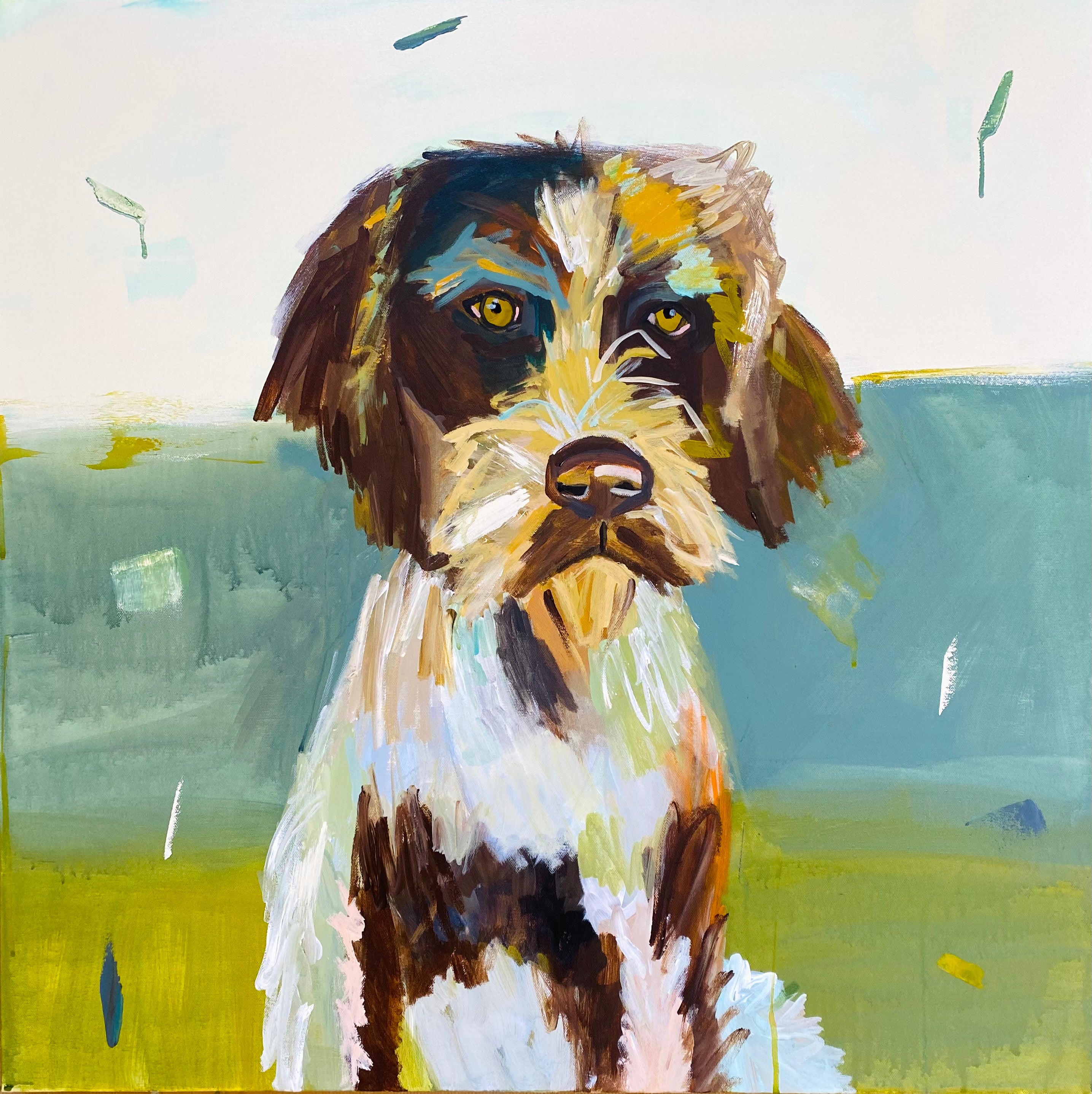 Wirehaired pointer