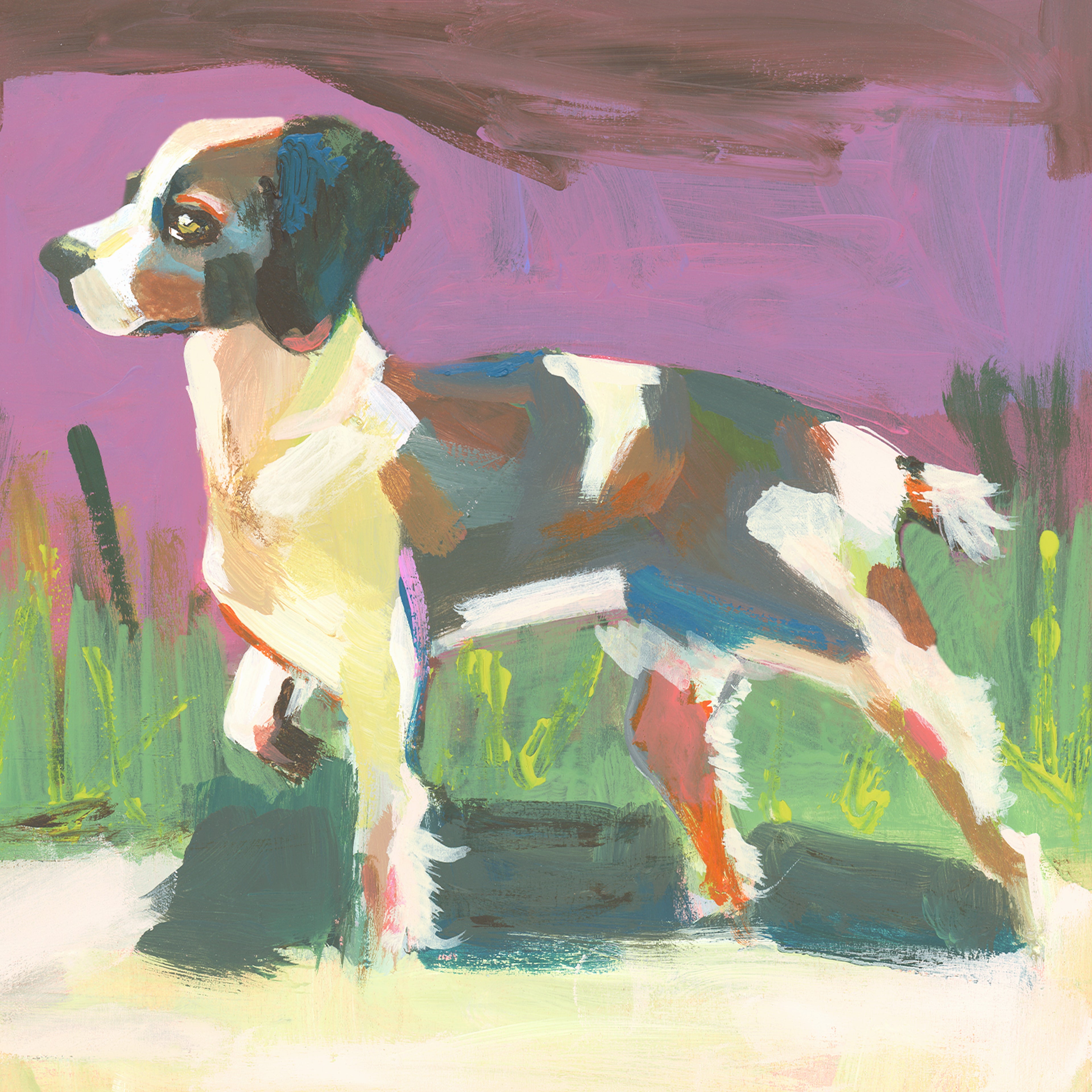 Bingo the Brittany Spaniel Print