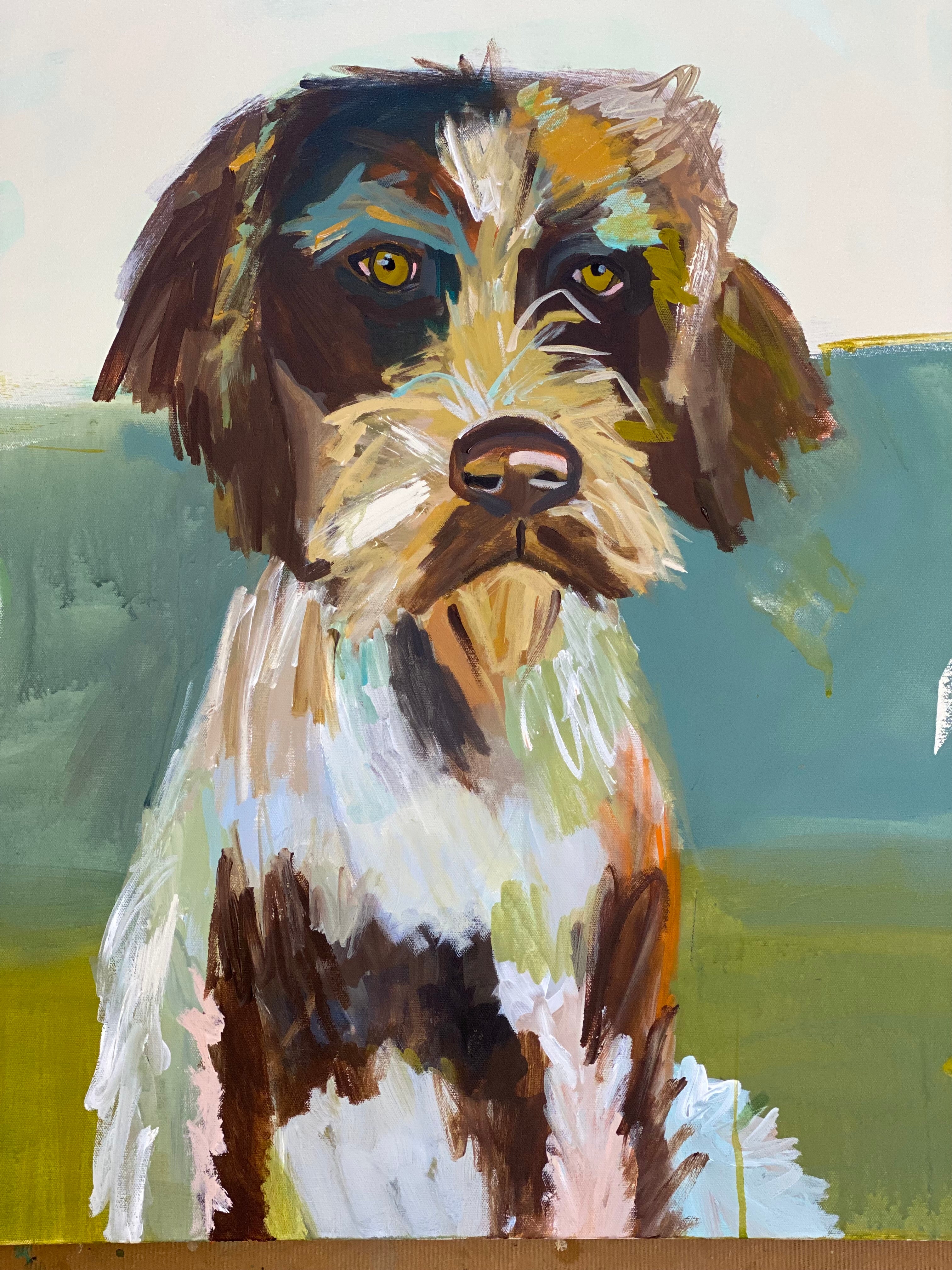 Wirehaired pointer