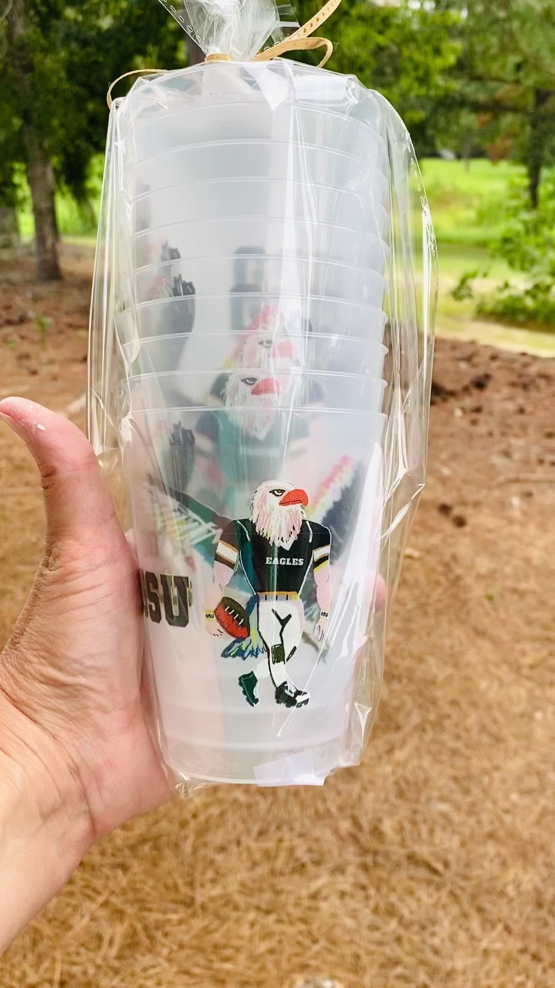 Set of 10 Frosted Eagles Cups